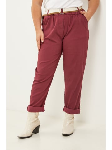 Curvy Lady Hose in Bordeaux