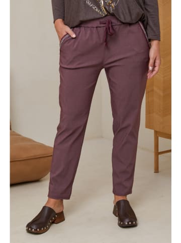 Curvy Lady Broek paars