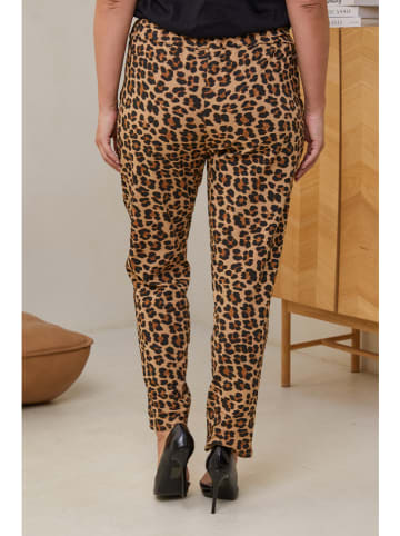 Curvy Lady Broek bruin