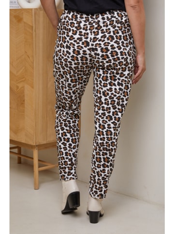 Curvy Lady Broek wit/bruin