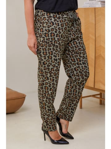 Curvy Lady Hose in Khaki/ Braun