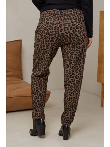 Curvy Lady Broek donkerbruin