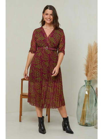 Curvy Lady Jurk bordeaux/groen