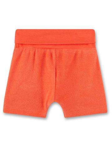 Sanetta Kidswear Szorty w kolorze pomarańczowym