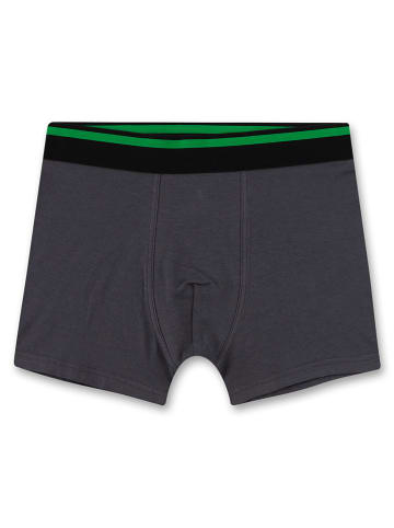 Sanetta Boxershort grijs