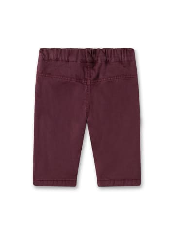 Sanetta Kidswear Spodnie w kolorze ciemnoczerwonym