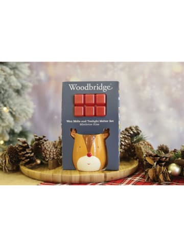 Woodbridge 2tlg. Set: Duftwachs & Duftlampe in Rot/ Hellbraun