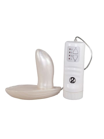 Orion Vibro-Muschel "BottiShelly" in Creme - (L)10 x (B)6 cm