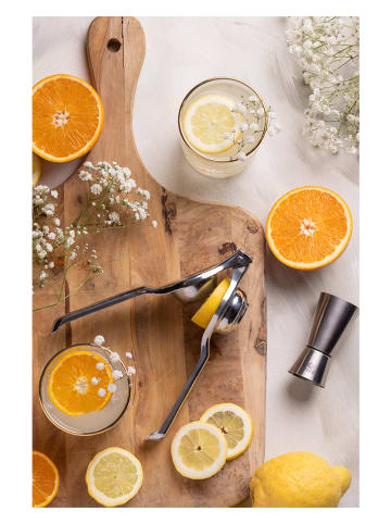 VINERS Praska "Viners" w kolorze srebrnym do cytryn