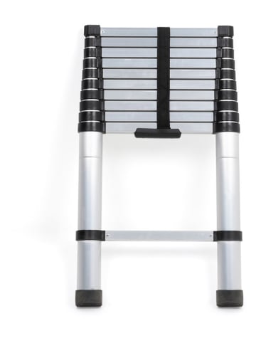 IDOMYA Essentials Telescopische ladder zilverkleurig - (L)320 cm