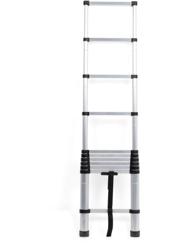 IDOMYA Essentials Telescopische ladder zilverkleurig - (L)320 cm