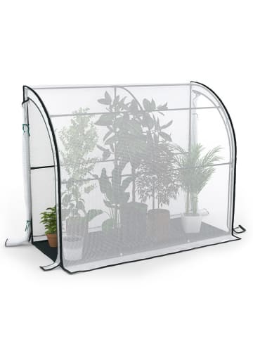 Inkazen Gewächshaus in Transparent - (B)200 x (H)160 x (T)80 cm