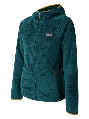 Dare 2b Fleece vest "Torrek Mountain Pro" groen