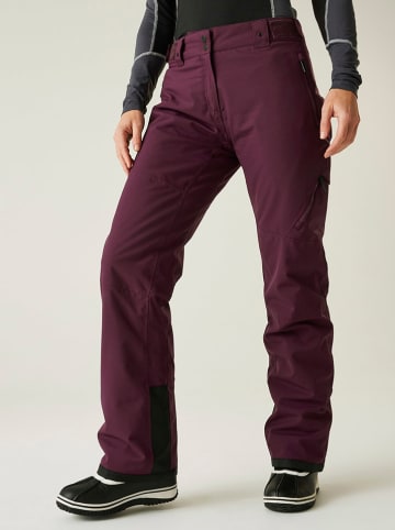 Dare 2b Ski-/snowboardbroek "Ice" rood