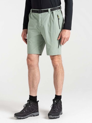 Dare 2b Functionele short "Tuned In Pro" mintgroen