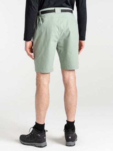 Dare 2b Funktionsshorts "Tuned In Pro" in Mint