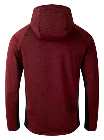 Dare 2b Funktionsjacke "Assimilate V" in Bordeaux/ Schwarz