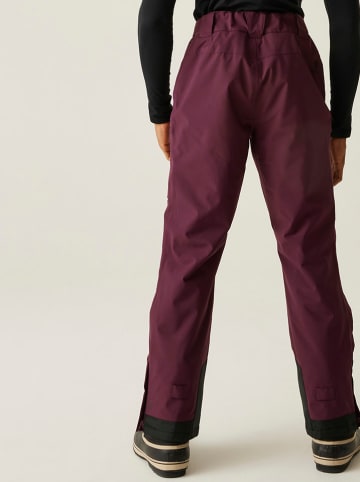 Dare 2b Ski-/ Snowboardhose "Baseplate II" in Bordeaux