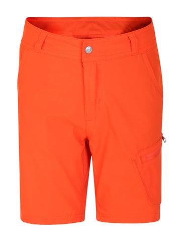 Dare 2b Funktionsshorts "Reprise II" in Orange