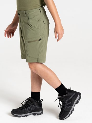 Dare 2b Funktionsshorts "Reprise II" in Khaki