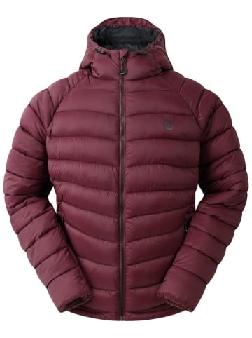 Dare 2b Kurtka pikowana "Torrek" w kolorze bordowym