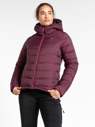 Dare 2b Kurtka pikowana "Torrek" w kolorze bordowym