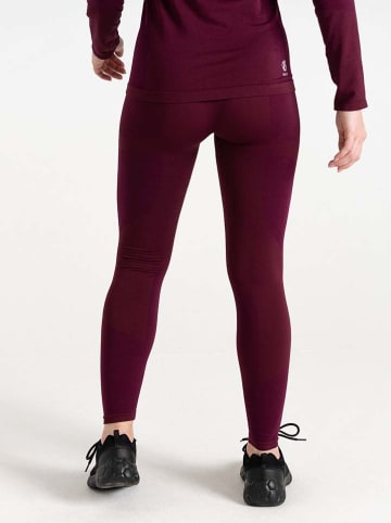 Dare 2b Functionele onderbroek "In The Zone III" bordeaux