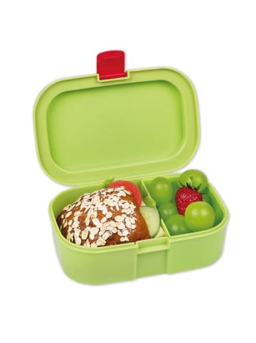 Lutz Mauder Lunchbox "Dino" in Hellgrün - (L)16,5 x (B)10,5 x (H)6,5 cm