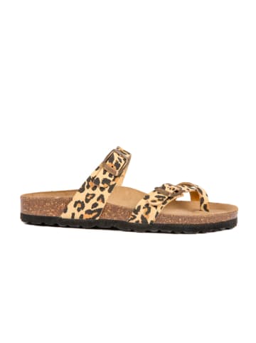 BABUNKERS Family Teenslippers lichtbruin