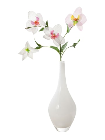 folia PAPER Transparentpapier in Weiß - 10 Blatt - DIN A4