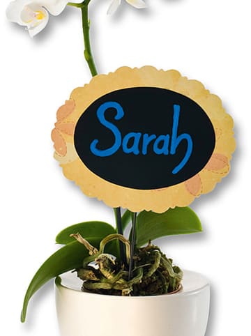 folia PAPER Markery kredowe (5 szt.) w różnych kolorach