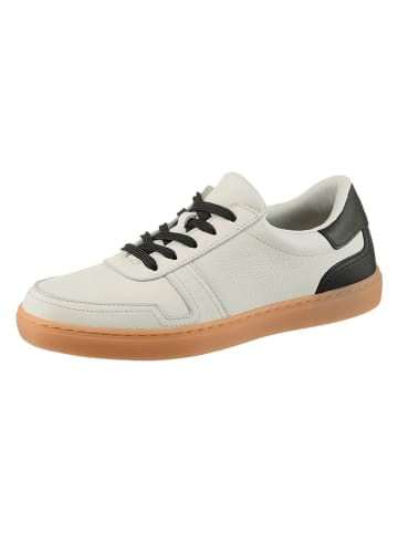Heine Leder-Sneakers in Creme