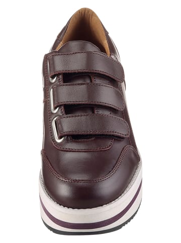 Heine Leder-Sneakers in Bordeaux