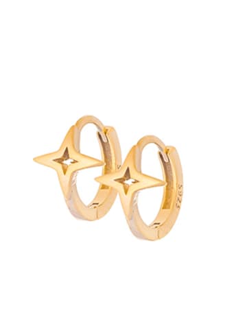 Ania Kruk Vergold. Creolen