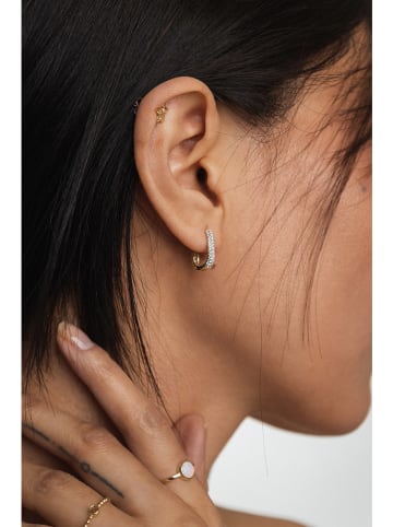 Ania Kruk Złote kolczyki-kreole z cyrkoniami