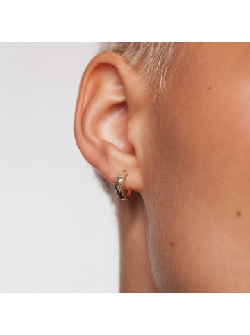 Ania Kruk Złote kolczyki-kreole