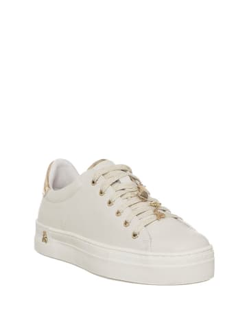 Patrizia Pepe Sneakers in Creme