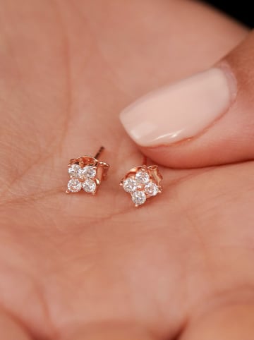 Heliophilia Zilveren oorstekers