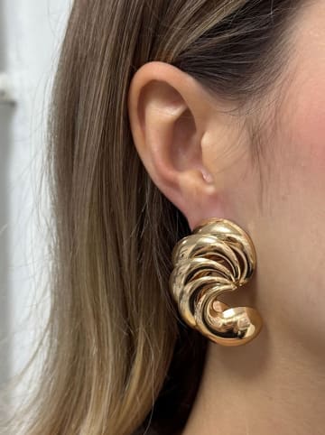 Heliophilia Vergulde oorstekers