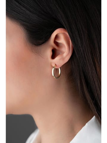 Heliophilia Vergold. Creolen