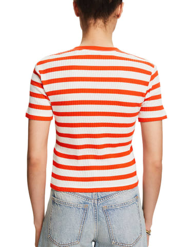 ESPRIT Shirt in Orange/ Weiß