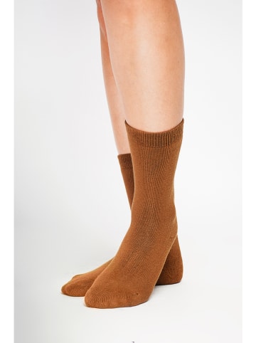 William de Faye Socken in Cognac