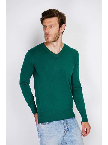 William de Faye Pullover in Grün