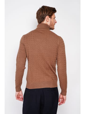 William de Faye Coltrui camel