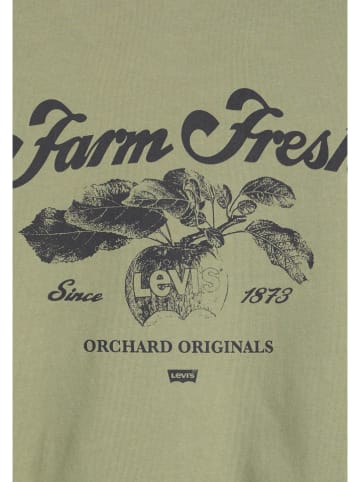 Levi's Shirt in Grün