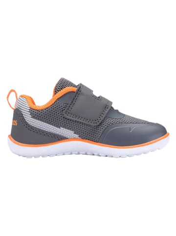 Kangaroos Buty barefoot "K-BFI Flow V" w kolorze szarym