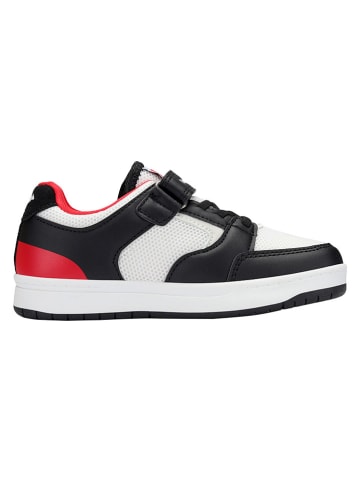 Kangaroos Buty barefoot "K-CP Ollie EV" w kolorze czarno-białym