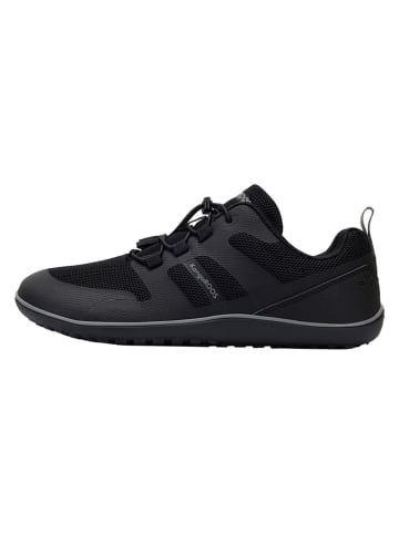 Kangaroos Buty barefoot "K-BFM Dune" w kolorze czarnym