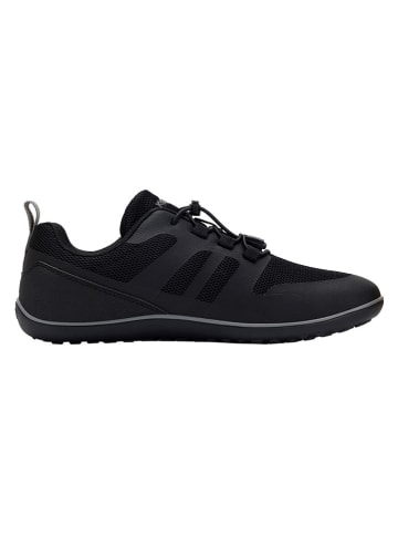 Kangaroos Buty barefoot "K-BFM Dune" w kolorze czarnym