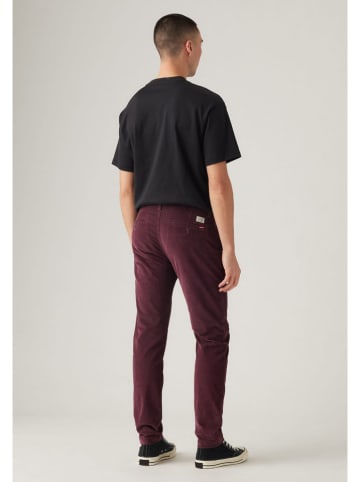 Levi's Hose in Bordeaux